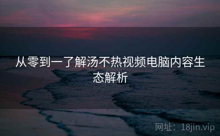 从零到一了解汤不热视频电脑内容生态解析