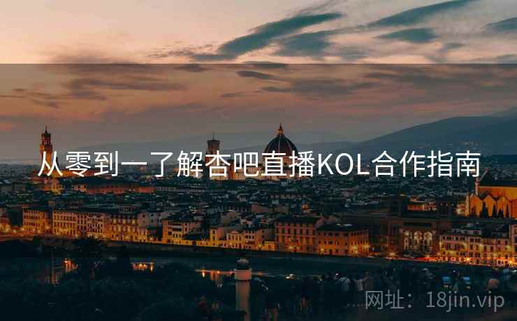 从零到一了解杏吧直播KOL合作指南