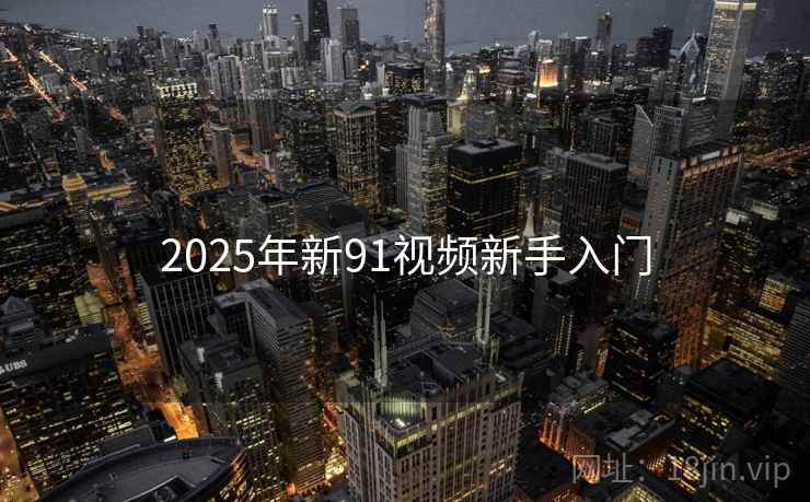 2025年新91视频新手入门