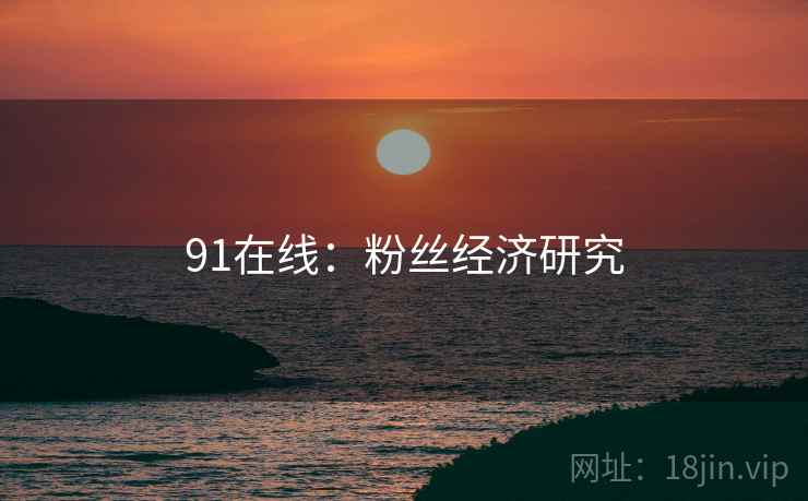 91在线：粉丝经济研究