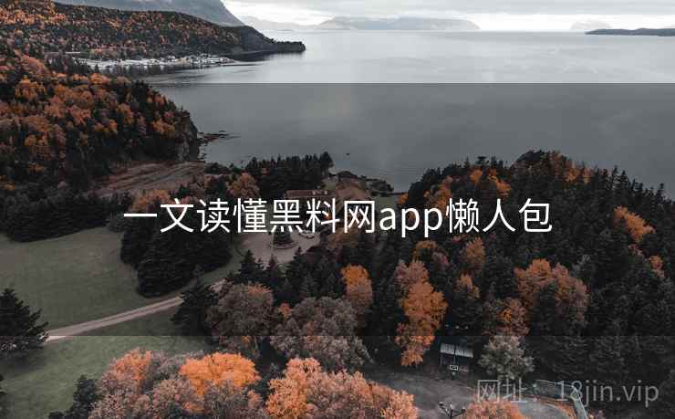 一文读懂黑料网app懒人包
