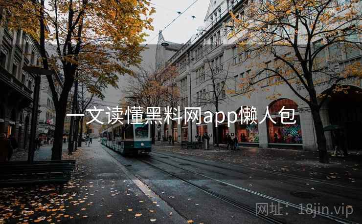 一文读懂黑料网app懒人包