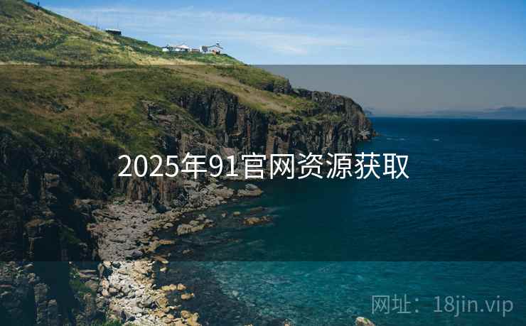2025年91官网资源获取
