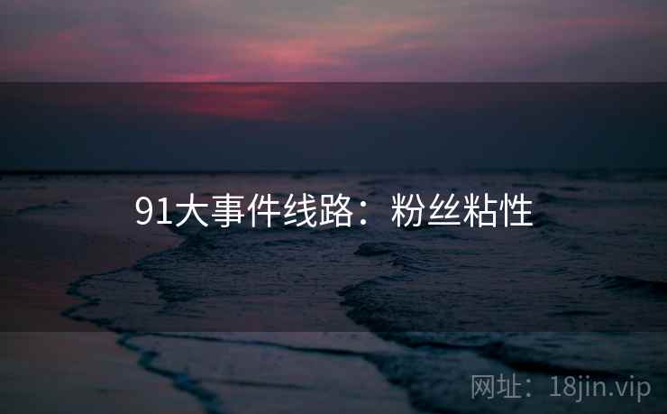 91大事件线路：粉丝粘性